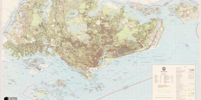 Mapa ng Singapore topographic