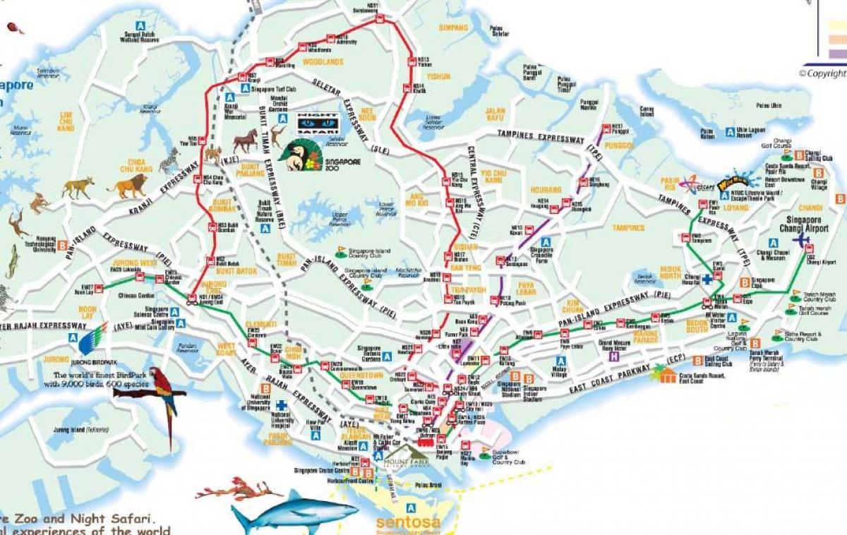 mapa ng daan ng Singapore