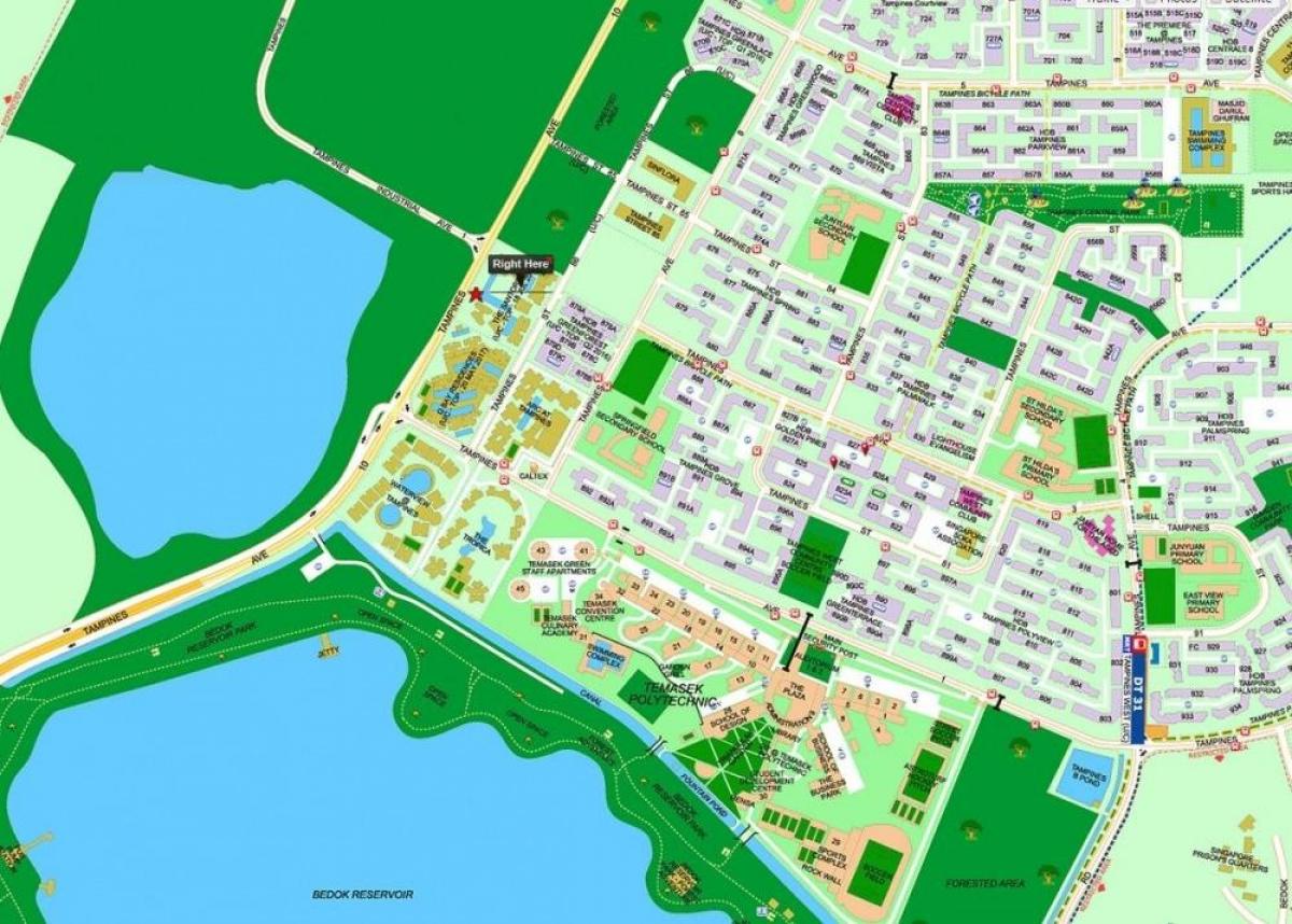 mapa ng tampines Singapore